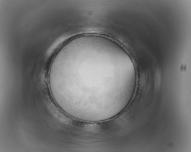 X0000112091454200908111340