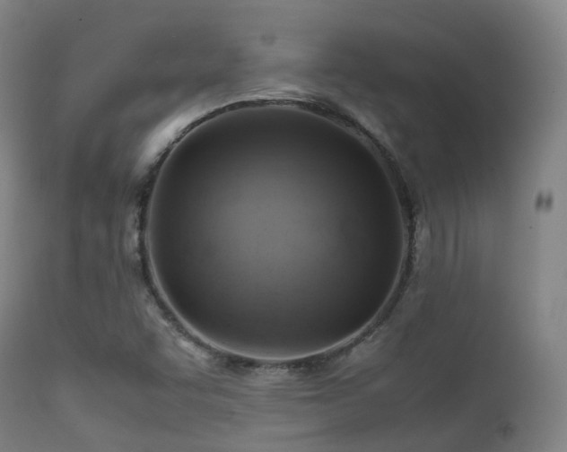 X0000112091455200908111340