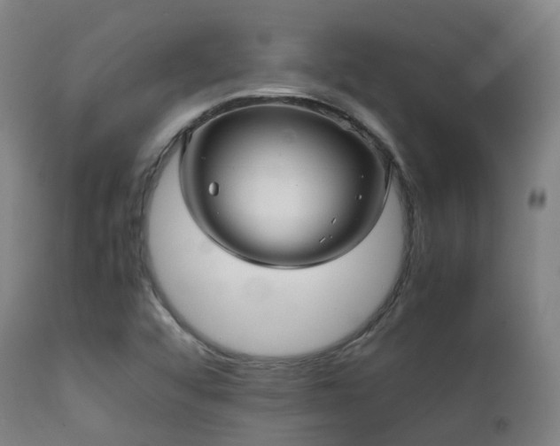 X0000112091456200908111340