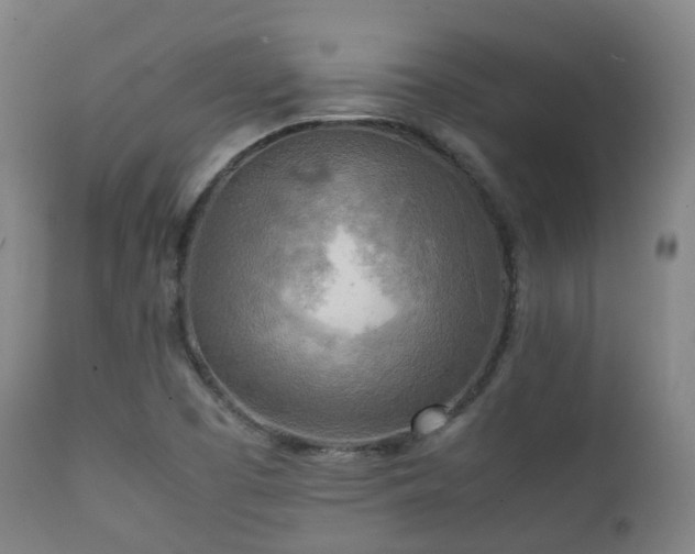 X0000112091457200908111340