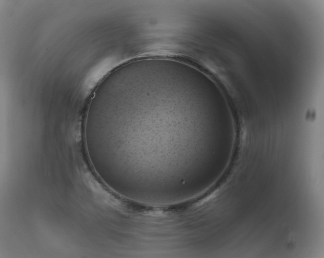 X0000112091459200908111340