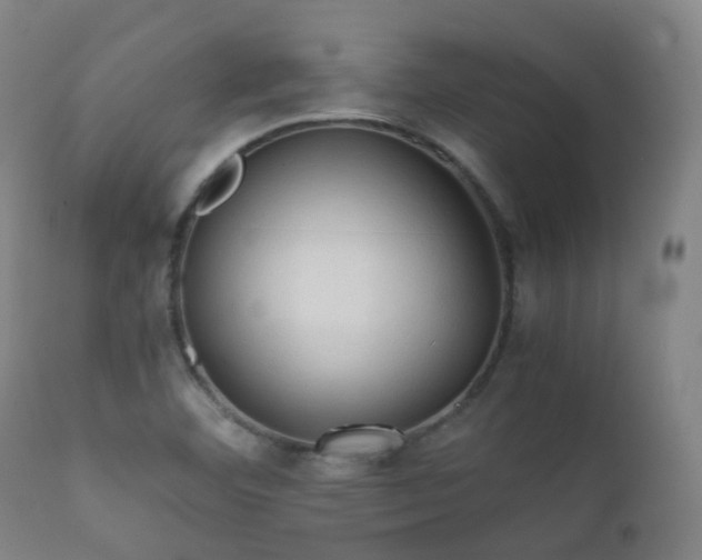 X0000112091460200908111340