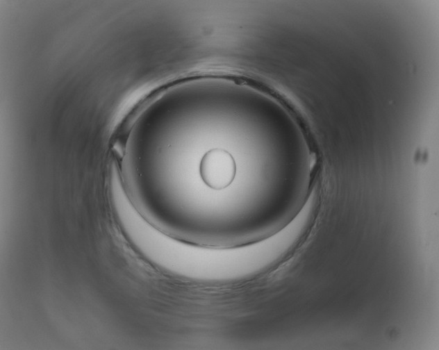 X0000112091461200908111340