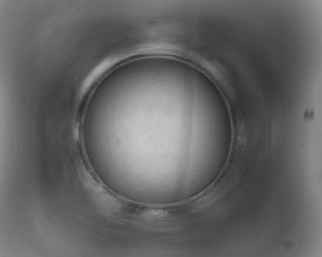 X0000112091462200908111340