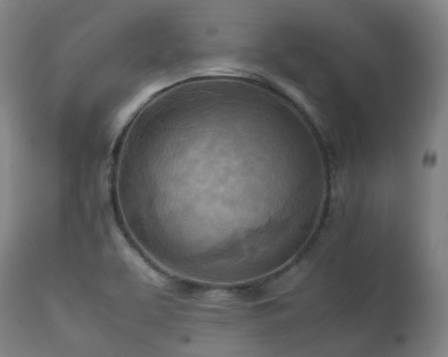 X0000112091463200908111340