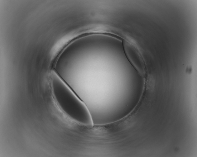 X0000112091464200908111340