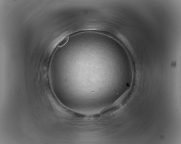 X0000112091465200908111340