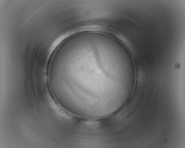 X0000112091466200908111340