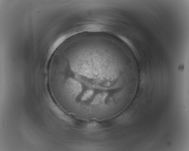 X0000112091467200908111340