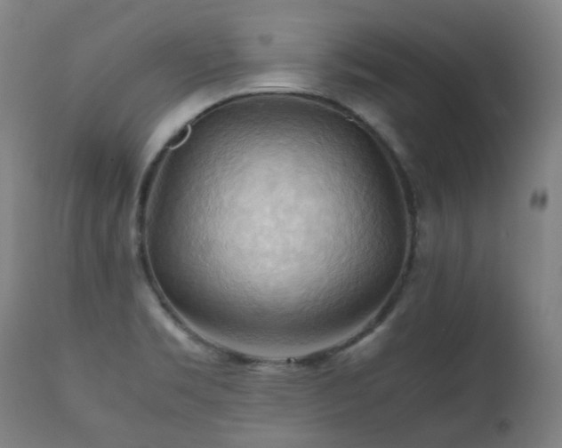 X0000112091469200908111340