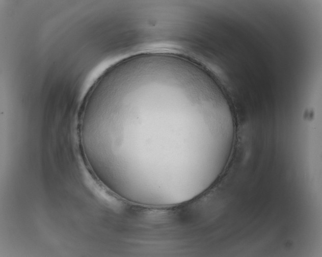 X0000112091470200908111340