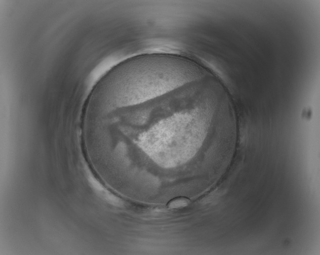 X0000112091471200908111340