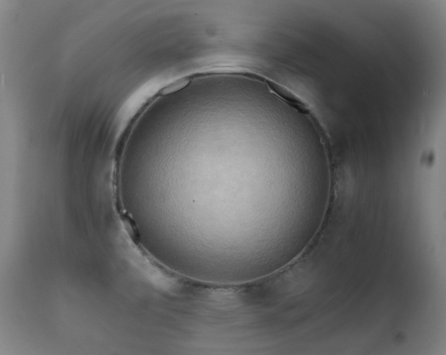 X0000112091472200908111340