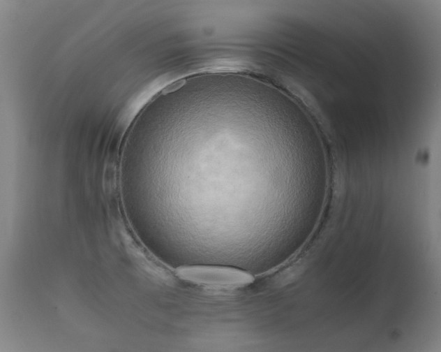 X0000112091473200908111340