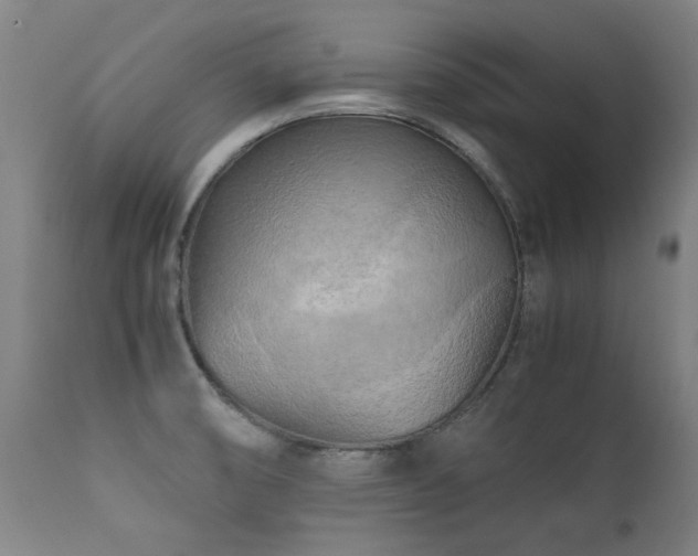 X0000112091474200908111340