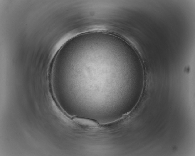 X0000112091475200908111340