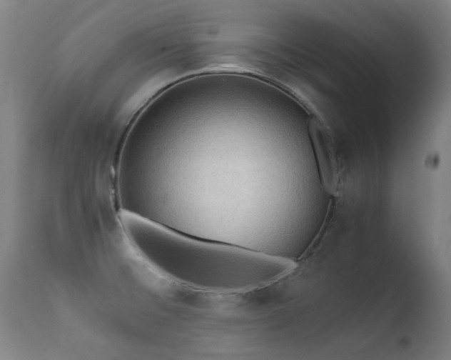 X0000112091476200908111340