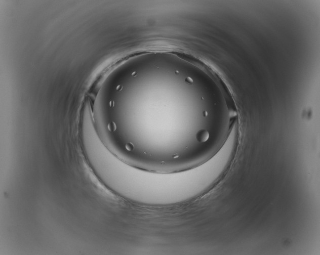 X0000112091477200908111340