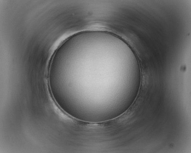 X0000112091478200908111340