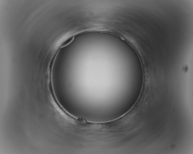 X0000112091479200908111340