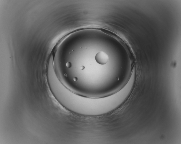 X0000112091480200908111340