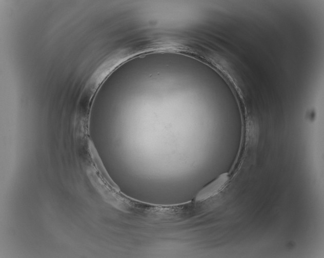 X0000112091481200908111340