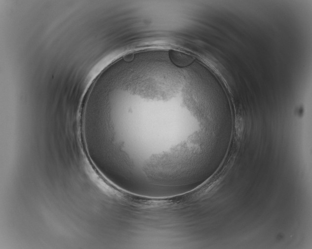 X0000112091482200908111340