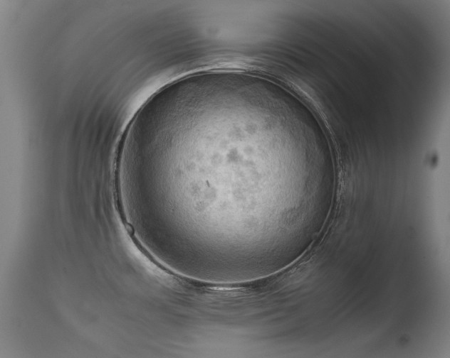 X0000112091483200908111340