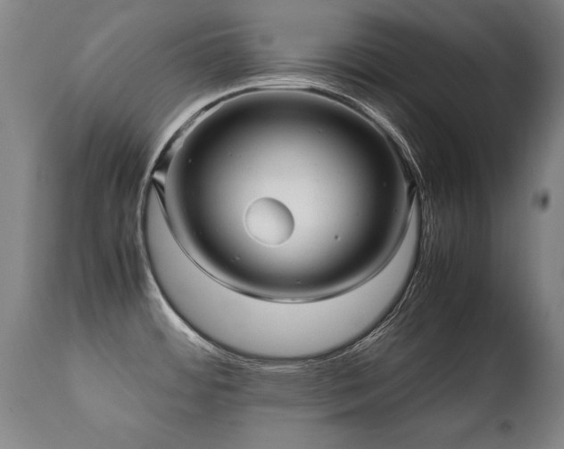 X0000112091484200908111340