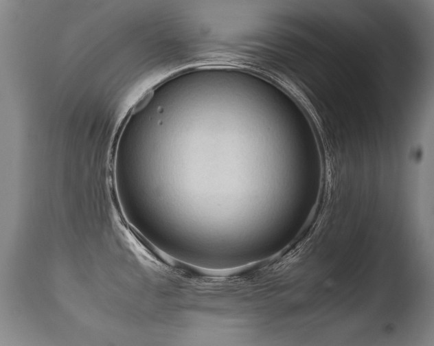 X0000112091485200908111340