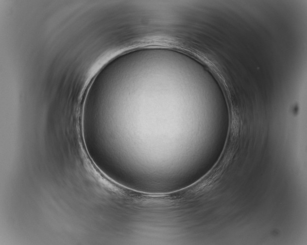 X0000112091486200908111340