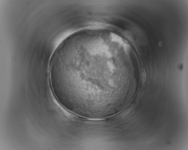 X0000112091487200908111340