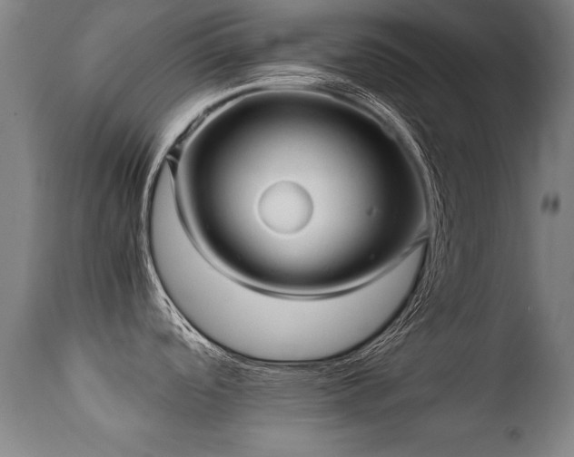 X0000112091488200908111340