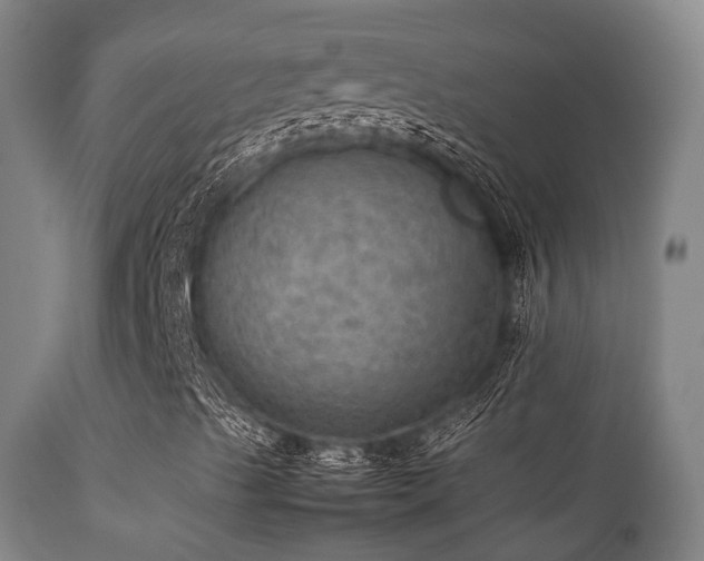 X0000112091489200908111339