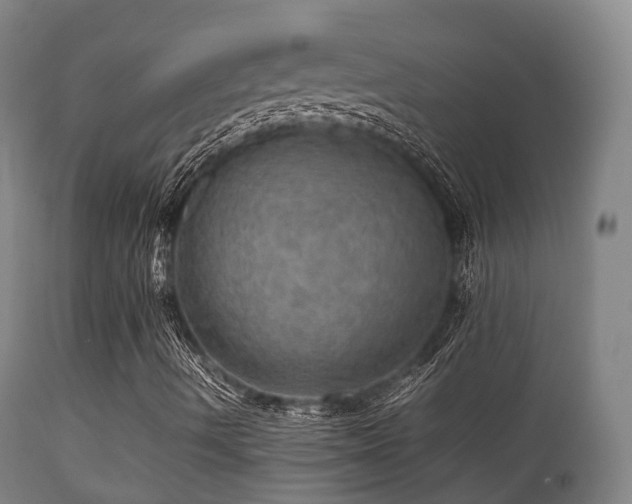 X0000112091490200908111339