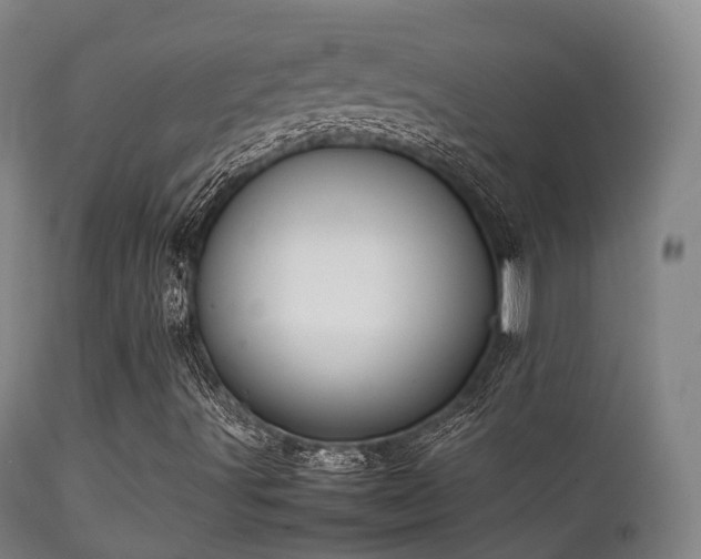 X0000112091491200908111339