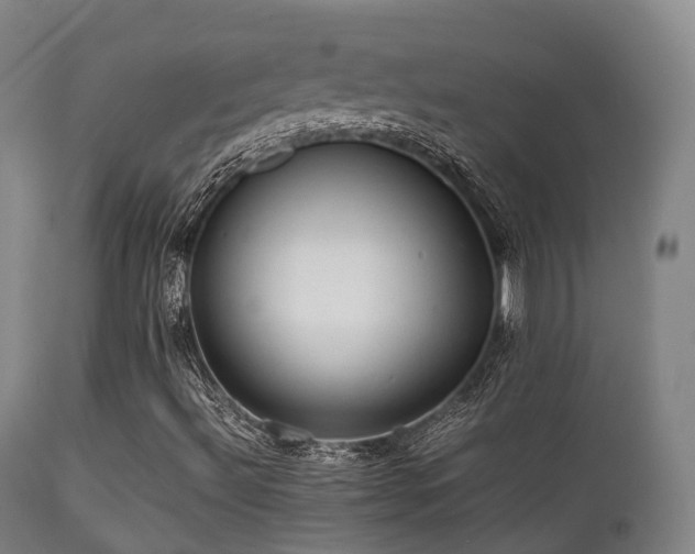 X0000112091492200908111339