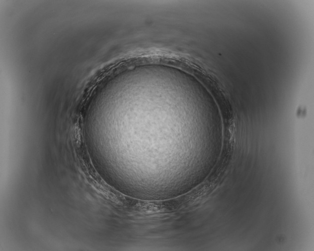 X0000112091493200908111339