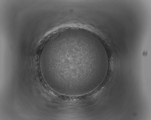 X0000112091494200908111339