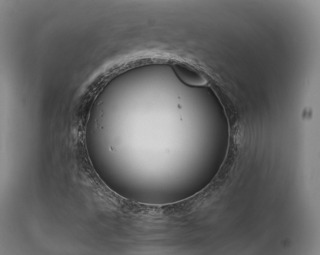 X0000112091495200908111339