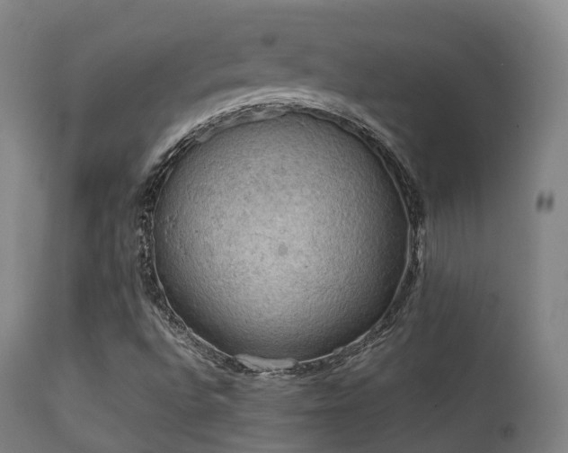 X0000112091496200908111339