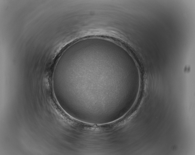 X0000112091497200908111339