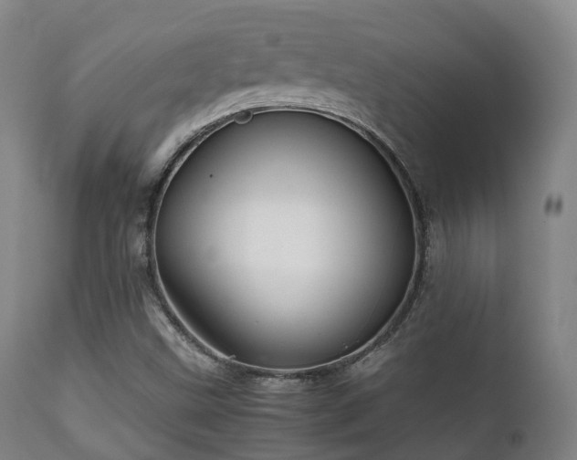 X0000112091499200908111339