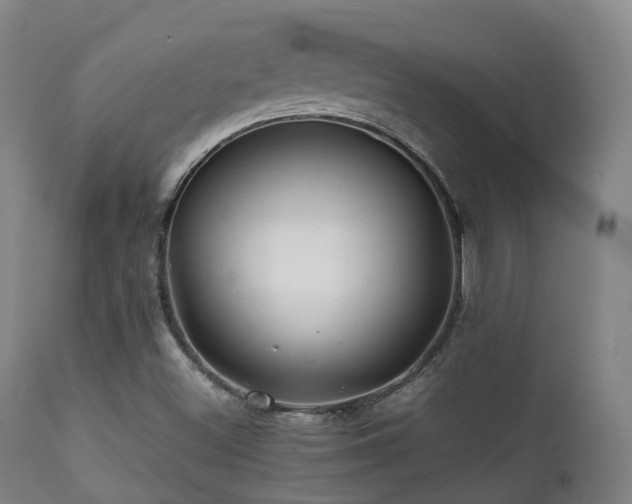 X0000112091500200908111339