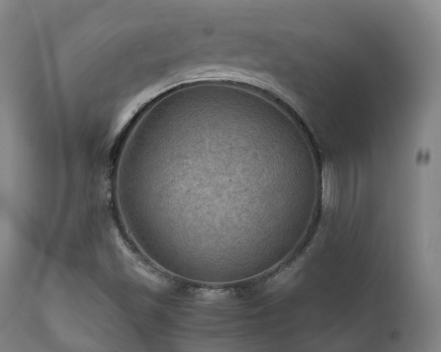 X0000112091501200908111339