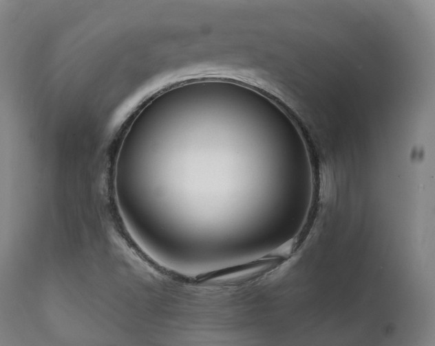 X0000112091502200908111339