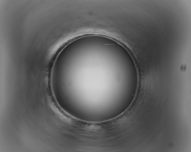 X0000112091503200908111339