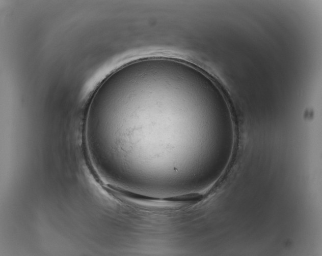 X0000112091504200908111339