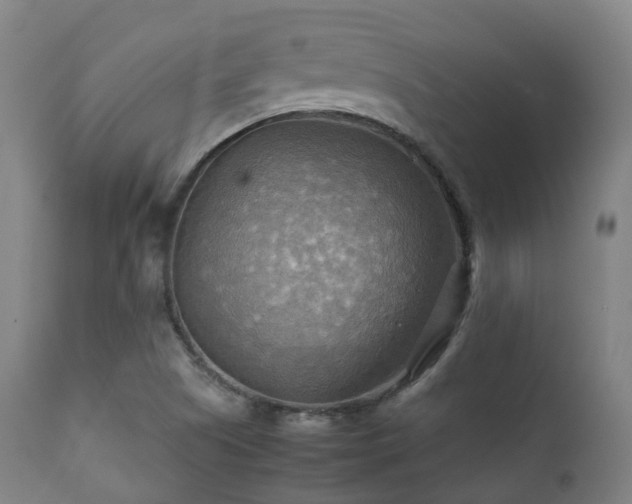 X0000112091505200908111339