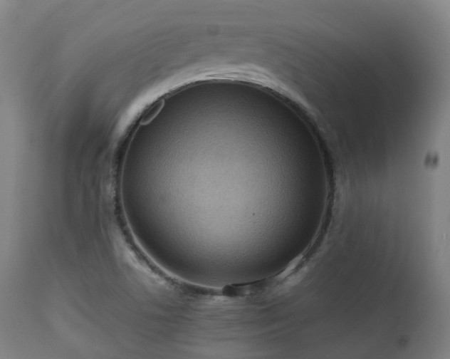 X0000112091506200908111339